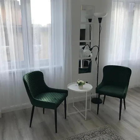 Beautiful Newly Refurbished Studio,Fully Equipped Apartment Walking Distance To The City Park Where You Will Find The World Famous Szechenyi Thermal Bath Spa, Museums , And The Capital Circus , Ac, Smart Tv, High Speed Internet Budapest Exterior photo