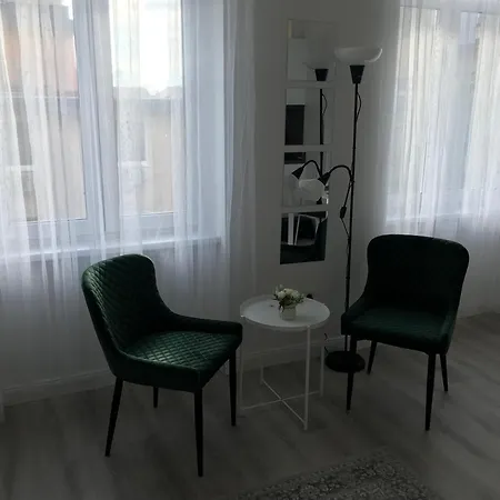 Beautiful Newly Refurbished Studio,Fully Equipped Apartment Walking Distance To The City Park Where You Will Find The World Famous Szechenyi Thermal Bath Spa, Museums , And The Capital Circus , Ac, Smart Tv, High Speed Internet Budapest Exterior photo