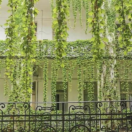 Beautiful Newly Refurbished Studio,Fully Equipped Apartment Walking Distance To The City Park Where You Will Find The World Famous Szechenyi Thermal Bath Spa, Museums , And The Capital Circus , Ac, Smart Tv, High Speed Internet Budapest Exterior photo