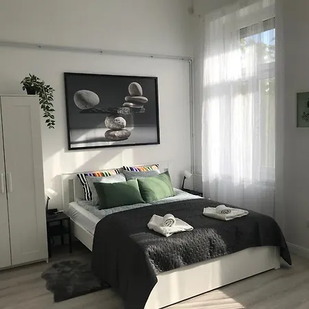 Beautiful Newly Refurbished Studio,Fully Equipped Apartment Walking Distance To The City Park Where You Will Find The World Famous Szechenyi Thermal Bath Spa, Museums , And The Capital Circus , Ac, Smart Tv, High Speed Internet Budapest Exterior photo