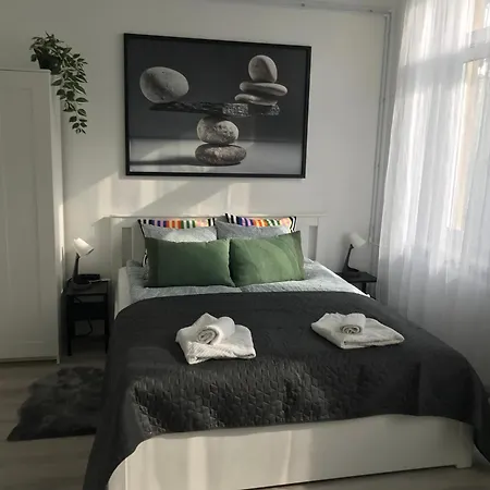 Beautiful Newly Refurbished Studio,Fully Equipped Apartment Walking Distance To The City Park Where You Will Find The World Famous Szechenyi Thermal Bath Spa, Museums , And The Capital Circus , Ac, Smart Tv, High Speed Internet Budapest Exterior photo