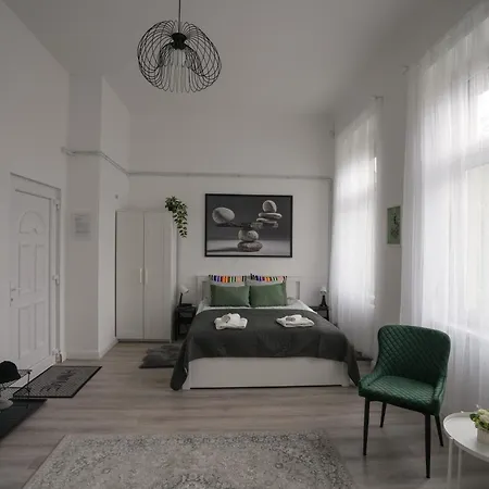 Beautiful Newly Refurbished Studio,Fully Equipped Apartment Walking Distance To The City Park Where You Will Find The World Famous Szechenyi Thermal Bath Spa, Museums , And The Capital Circus , Ac, Smart Tv, High Speed Internet Budapest Exterior photo