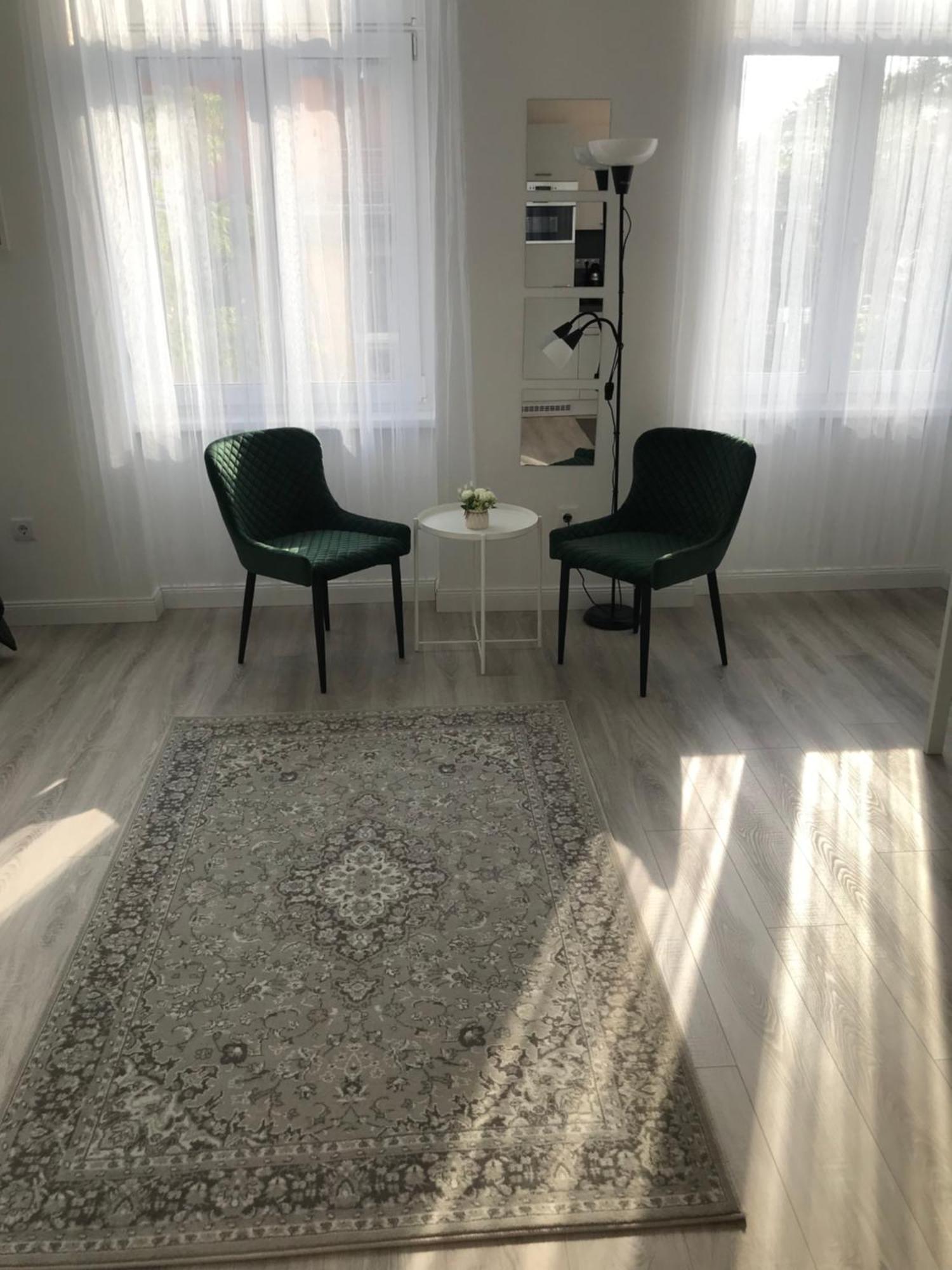 Beautiful Newly Refurbished Studio,fully Equipped Walking Distance To The Park Where Will Find The World Famous Szechenyi Thermal Bath Spa, Museums , And The Capital Circus , Ac, Smart Tv, High Speed Internet * Будапешт