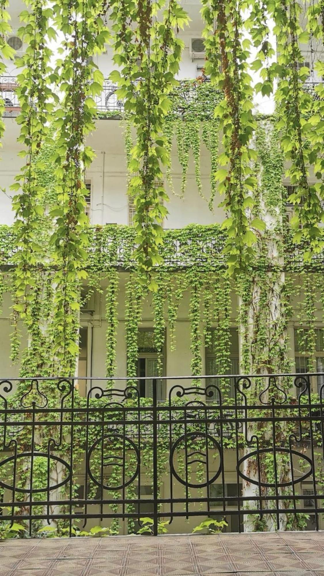 Beautiful Newly Refurbished Studio,fully Equipped Walking Distance To The Park Where Will Find The World Famous Szechenyi Thermal Bath Spa, Museums , And The Capital Circus , Ac, Smart Tv, High Speed Internet Appartement Boedapest