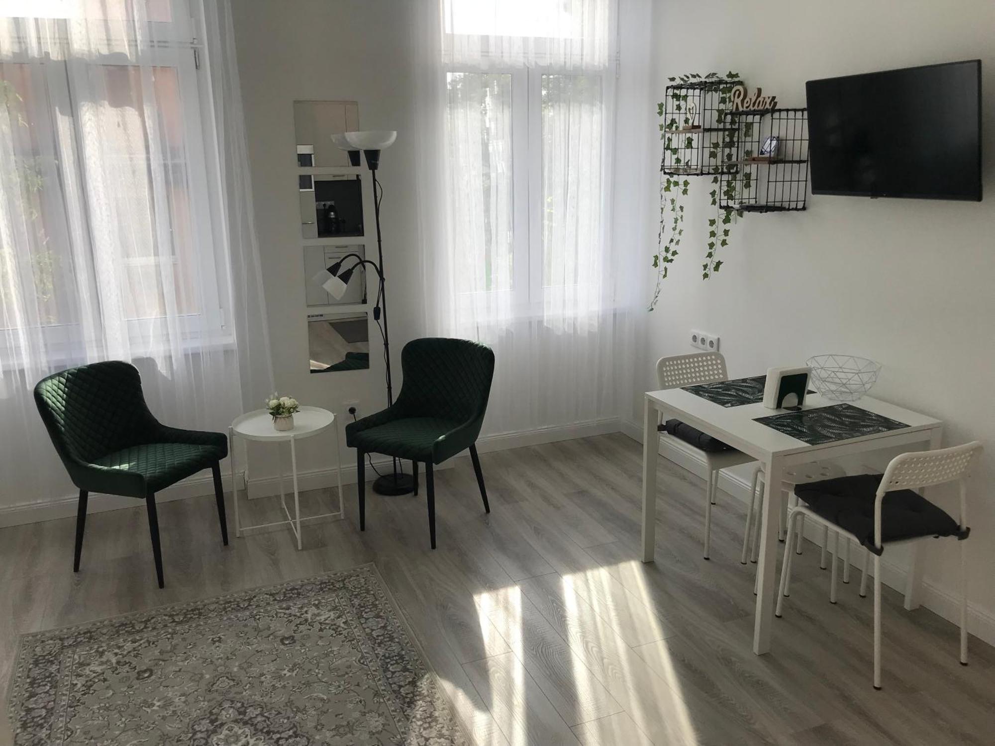 Apartment Beautiful Newly Refurbished Studio,fully Equipped Walking Distance To The Park Where Will Find The World Famous Szechenyi Thermal Bath Spa, Museums , And The Capital Circus , Ac, Smart Tv, High Speed Internet