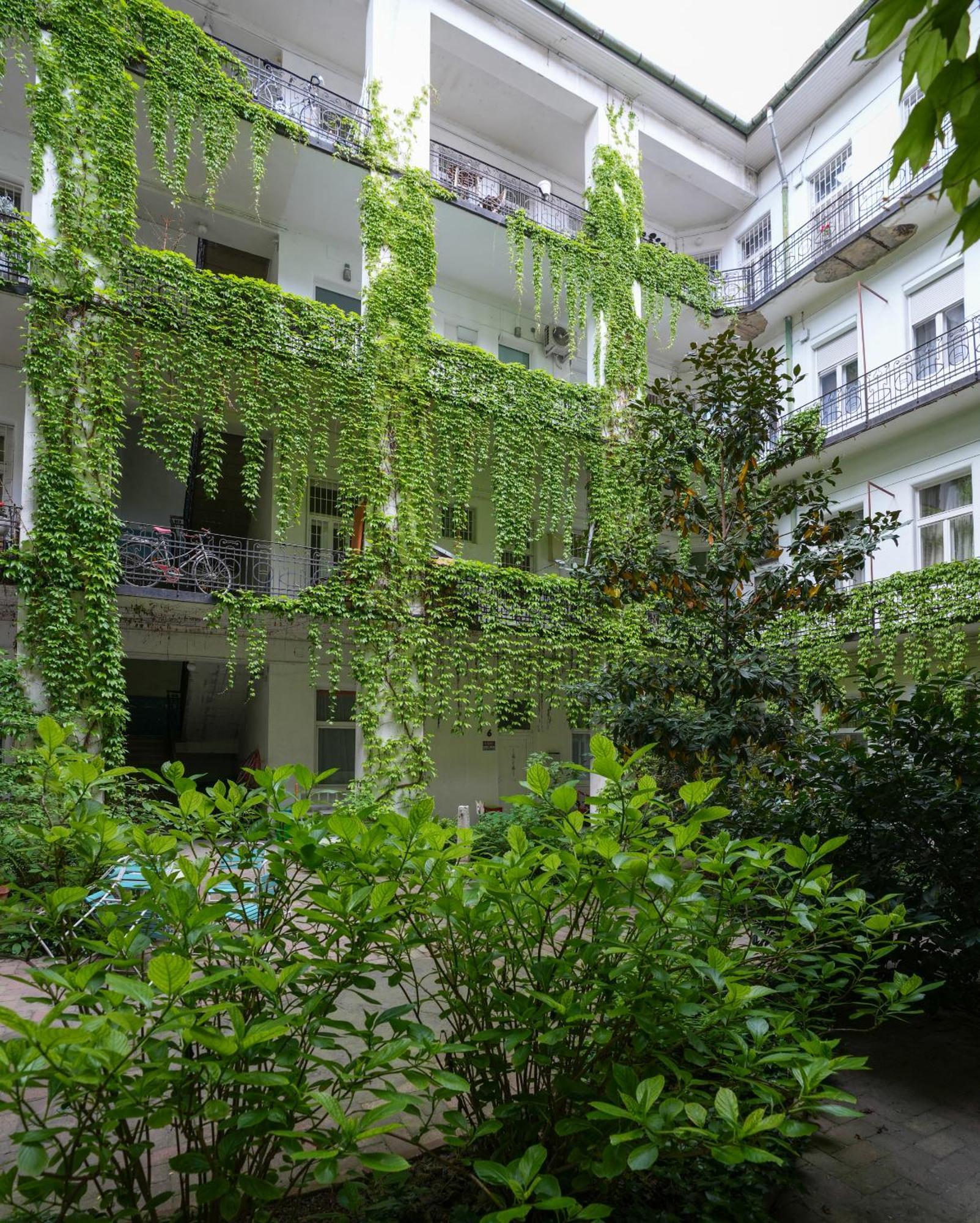 Beautiful Newly Refurbished Studio,fully Equipped Walking Distance To The Park Where Will Find The World Famous Szechenyi Thermal Bath Spa, Museums , And The Capital Circus , Ac, Smart Tv, High Speed Internet * Будапешт