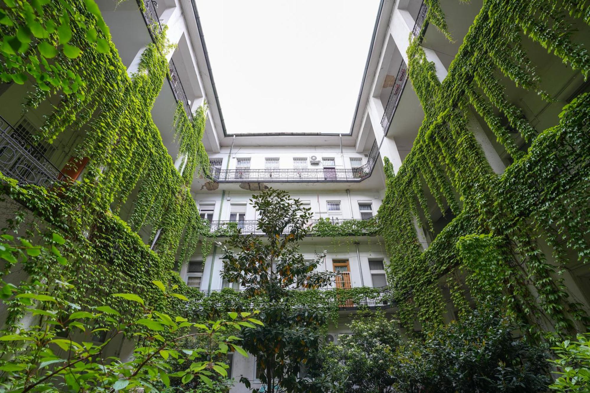 Apartment Beautiful Newly Refurbished Studio,fully Equipped Walking Distance To The Park Where Will Find The World Famous Szechenyi Thermal Bath Spa, Museums , And The Capital Circus , Ac, Smart Tv, High Speed Internet