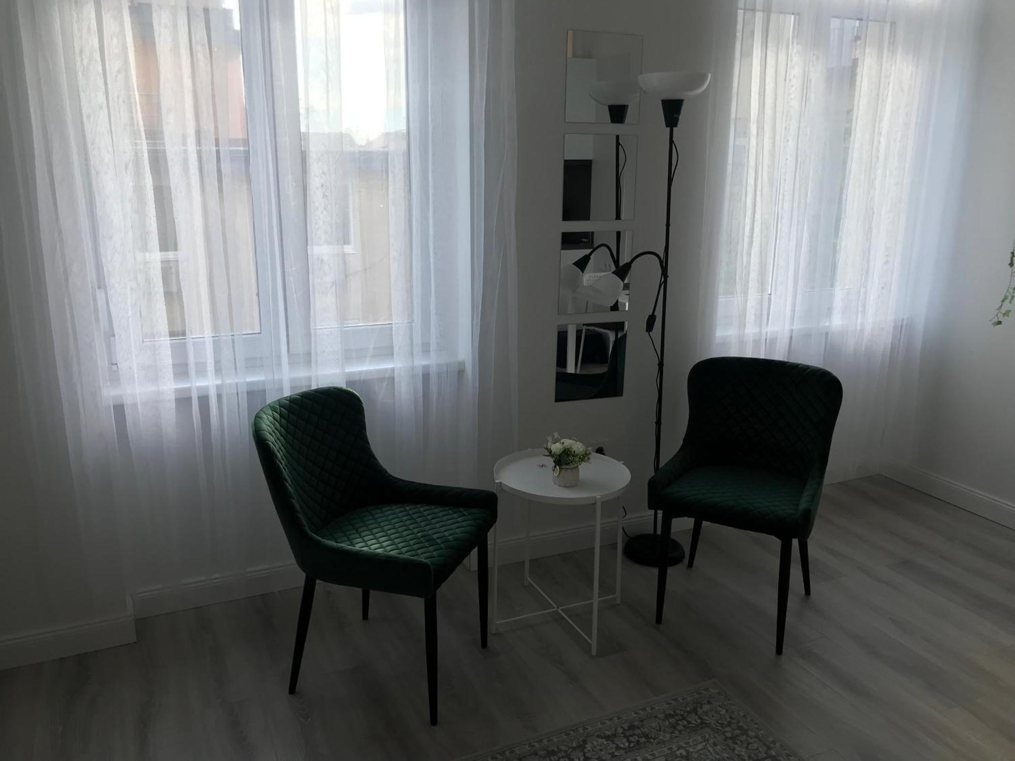 Appartamento Beautiful Newly Refurbished Studio,fully Equipped Walking Distance To The Park Where Will Find The World Famous Szechenyi Thermal Bath Spa, Museums , And The Capital Circus , Ac, Smart Tv, High Speed Internet Budapest