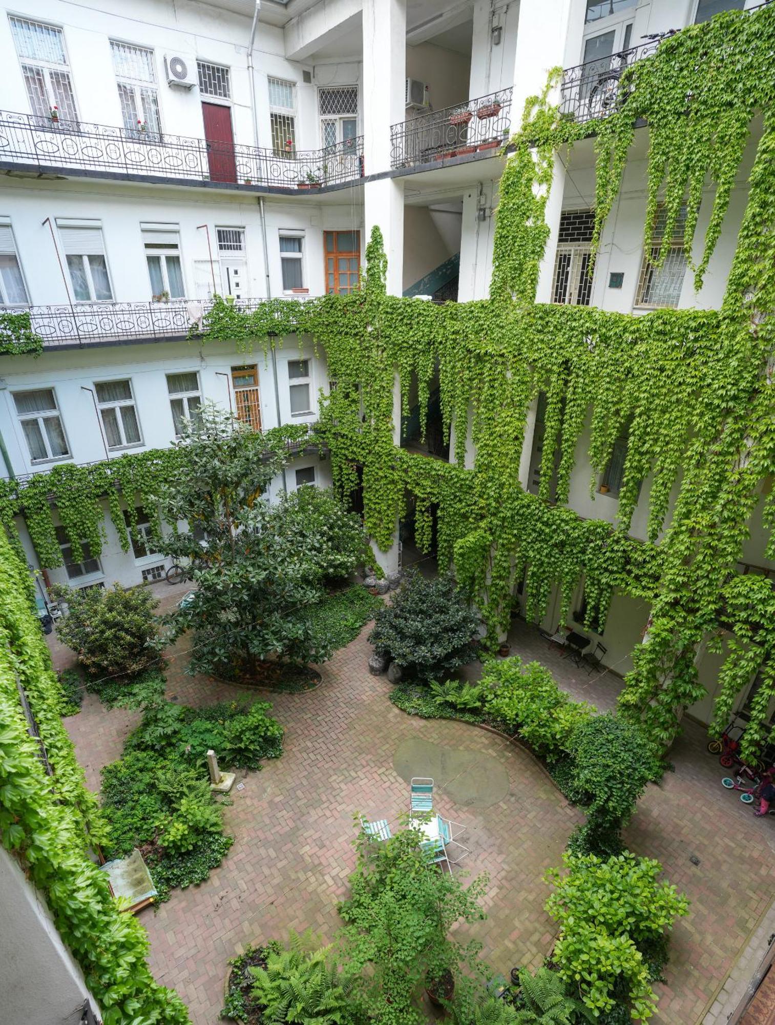 Appartamento Beautiful Newly Refurbished Studio,fully Equipped Walking Distance To The Park Where Will Find The World Famous Szechenyi Thermal Bath Spa, Museums , And The Capital Circus , Ac, Smart Tv, High Speed Internet Budapest