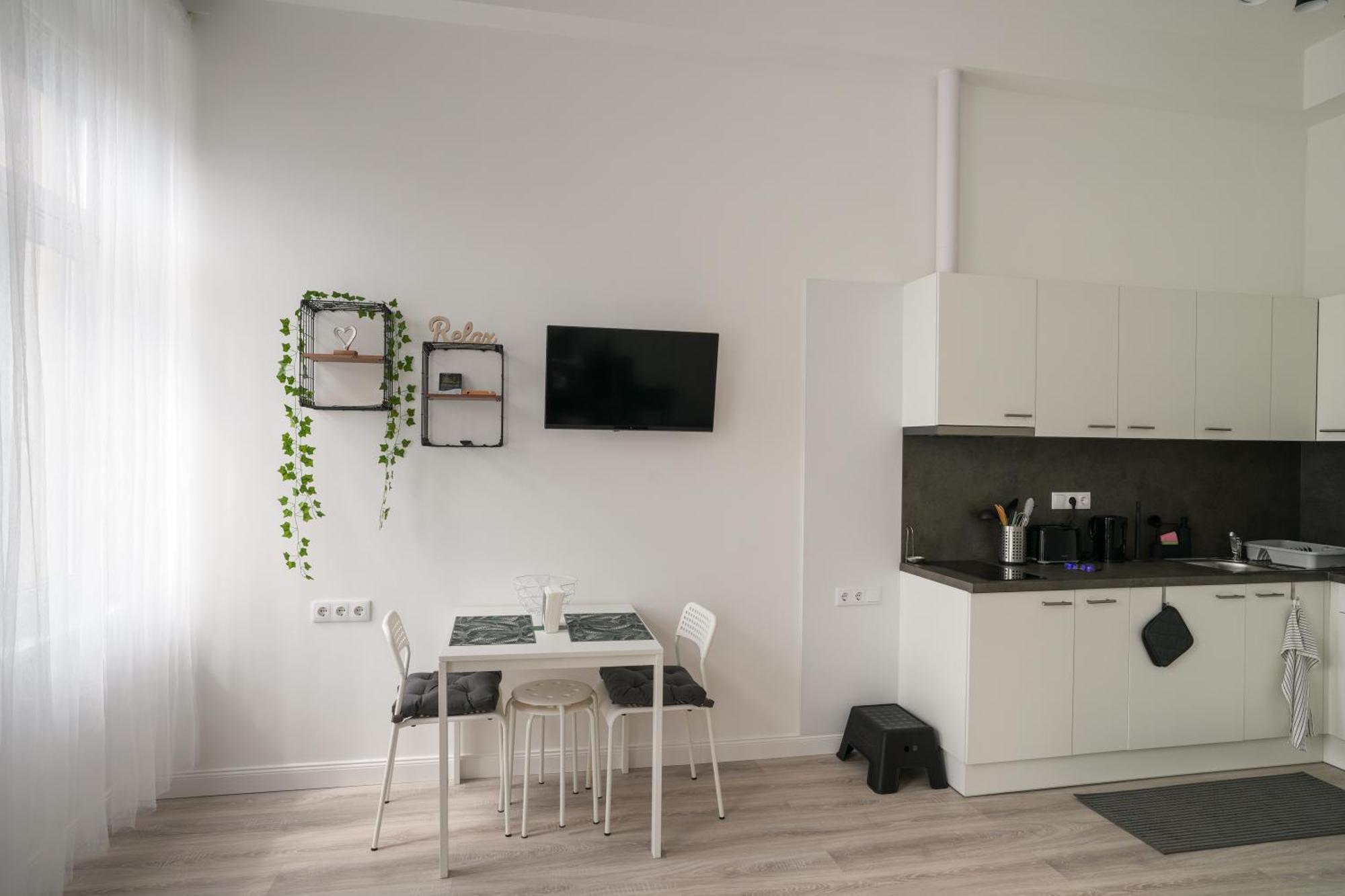 Beautiful Newly Refurbished Studio,fully Equipped Walking Distance To The Park Where Will Find The World Famous Szechenyi Thermal Bath Spa, Museums , And The Capital Circus , Ac, Smart Tv, High Speed Internet Budapest