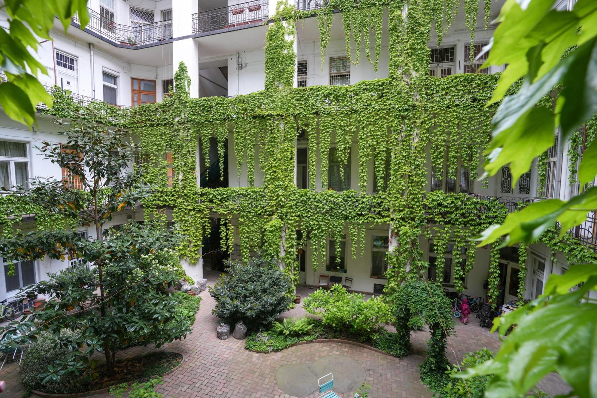 Apartment Beautiful Newly Refurbished Studio,fully Equipped Walking Distance To The Park Where Will Find The World Famous Szechenyi Thermal Bath Spa, Museums , And The Capital Circus , Ac, Smart Tv, High Speed Internet Budapest